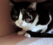 Kater Robert