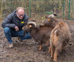 Rudolph het bokje